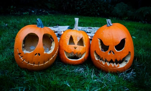 Illustrasi Sejarah Jack O' Lantern, Simbol Halloween yang Mendunia. Sumber: www.unsplash.com