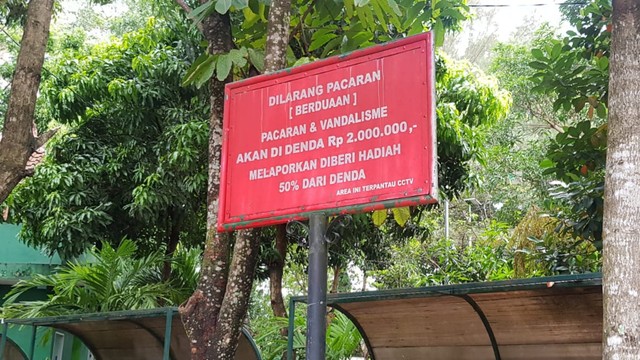 Plang larangan pacaran di salah satu taman di Yogyakarta. Foto: Birgita/Tugu Jogja