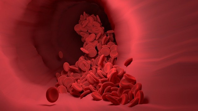 Leukosit, Sel Darah yang Mampu Memakan Kuman Penyakit (404095)