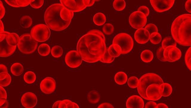 Leukosit, Sel Darah yang Mampu Memakan Kuman Penyakit (404094)