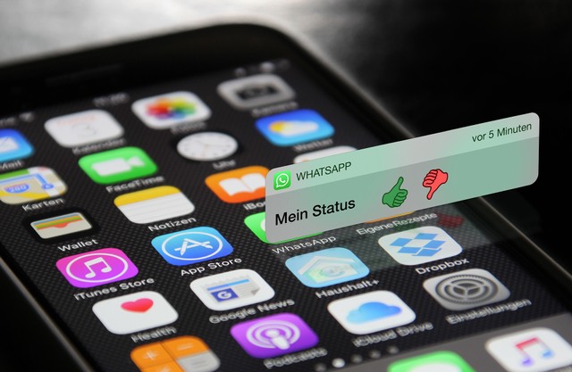 Cara Bikin Status di WhatsApp Web. Sumber foto: Pixabay