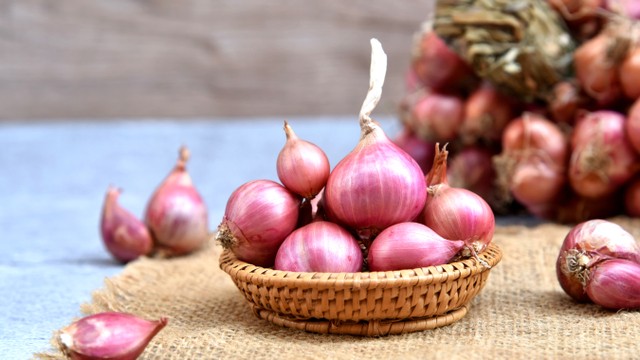 Ilustrasi manfaat bawang merah untuk bayi. Foto: Shutterstock