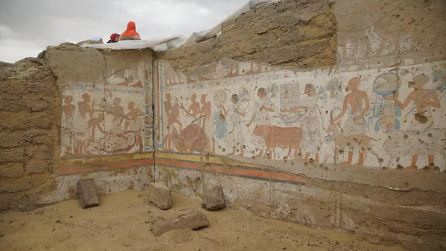 Lukisan dinding ditemukan di makam, menunjukkan ternak dan hewan lain digiring ke pembantaian. Foto: Ministry of Tourism and Antiquities