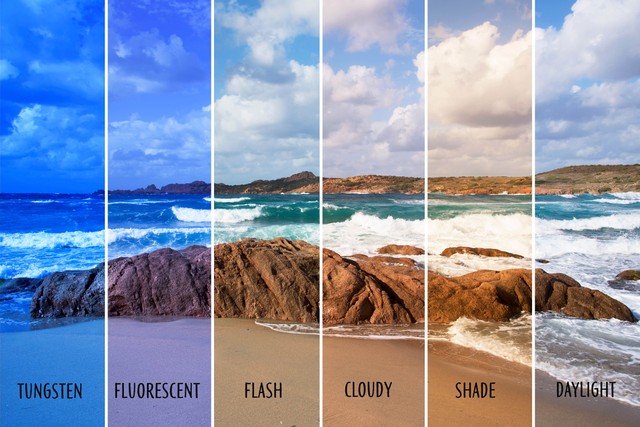 Ilustrasi White Balance. Foto: Shutter Stock