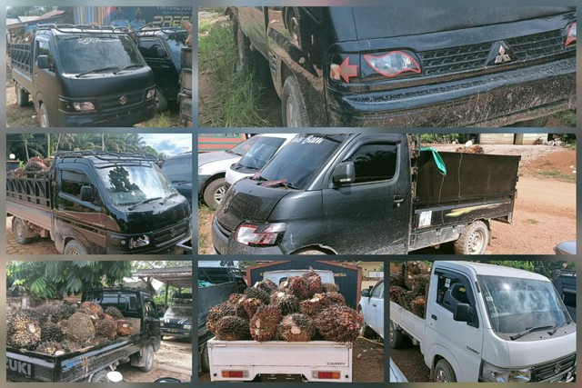 6 mobil pickup tak bernomor polisi yang digunakan oleh para pelaku pencurian kelapa sawit di Arut Utara.