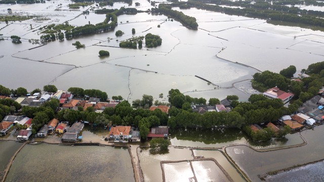 Foto udara banjir rob yang menggenangi rumah dan tambak warga di Kampung Sembilangan, Tarumajaya, Kabupaten Bekasi, Jawa Barat, Selasa (9/11/2021). Foto: Fakhri Hermansyah/Antara Foto