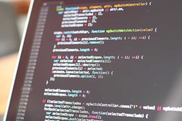 Ilustrasi PHP atau Hypertext Preprocessor. Foto: Pixabay.com