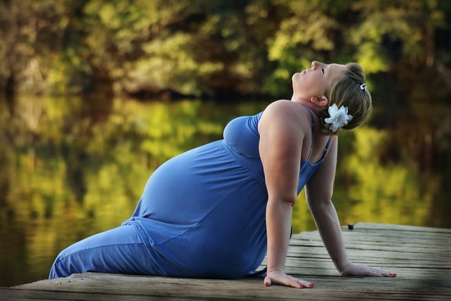 Ilustrasi ibu hamil. Foto: PIxabay/Greyerbaby