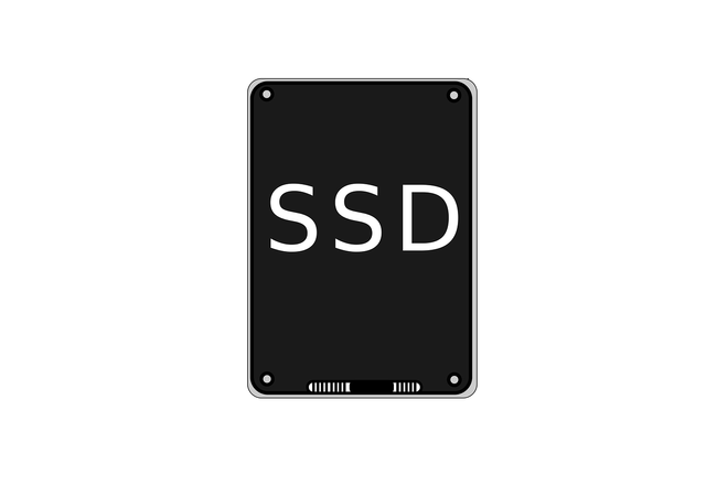 Ilustrasi SSD. Foto: Pixabay