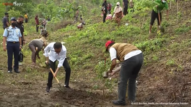 Presiden Jokowi menanam pohon kayu putih di Lombok Tengah. Foto: Youtube/Sekretariat Presiden