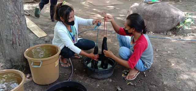 Peserta PKW sedang melakukan praktik pencelupan/pewarnaan benang, di Centra Jata Kapa Maumere, Sabtu(13/11). Foto : Athy Meaq