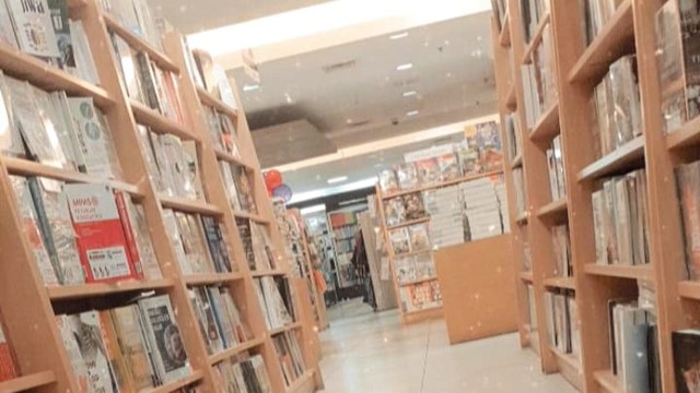 Bahasa merupakan fondasi utama dalam karya sastra. Gambar perpustakaan (Dokumen Pribadi)