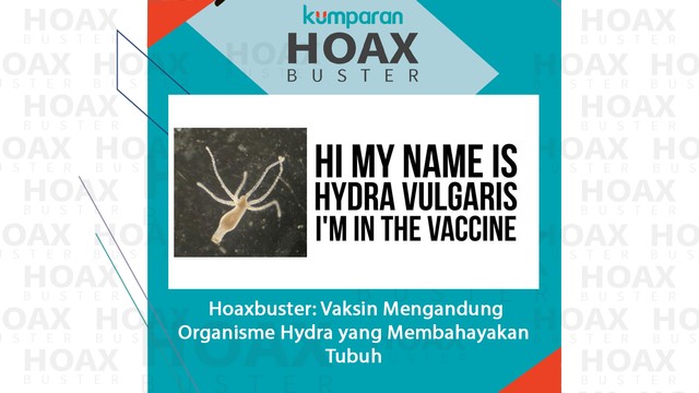 Hoaxbuster: Vaksin Mengandung Organisme Hydra yang Membahayakan Tubuh Foto: @youcantstopthetruth