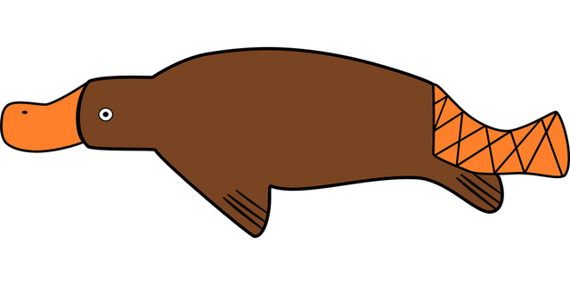 Platypus berkembang biak dengan cara