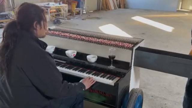 Aksi Unik dan Ciamik Pria Bakar Sate Sambil Bermain Piano (73602)