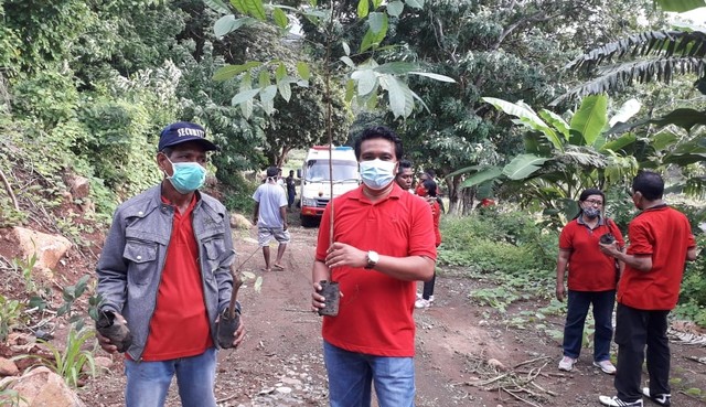 Keterangan foto: Anggota DPRD Sikka Stef Sumandi saat aksi penanaman pohon di Desa Hoder beberapa waktu lalu. Sumber foto: istimewa.