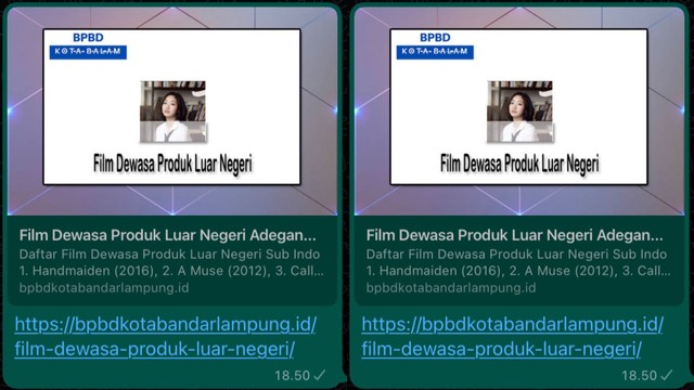 Berisi Konten Porno, Situs Ini Gunakan Nama 'BPBD Kota Bandar Lampung' | Foto: ist