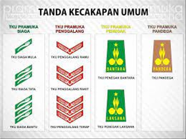 Inilah 5 Bidang dan Warna Tanda Kecakapan Khusus dalam Pramuka beserta