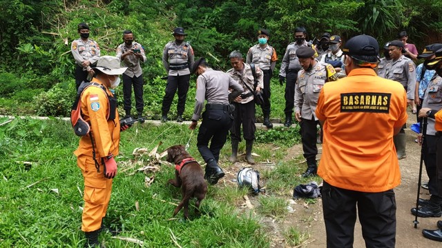 Anjing pelacak K9 diturunkan untuk mencari warga Sumedang yang hilang di Cadas Pangeran, Kamis (18/11). Foto: SAR Bandung