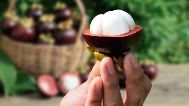 Makan manggis saat hamil, boleh atau tidak? Foto: Shutterstock