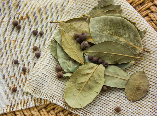 Daun salam adalah bagian dari tanaman salam yang memiliki sejumlah manfaat bagi tubuh manusia. Foto: Shutterstock.com