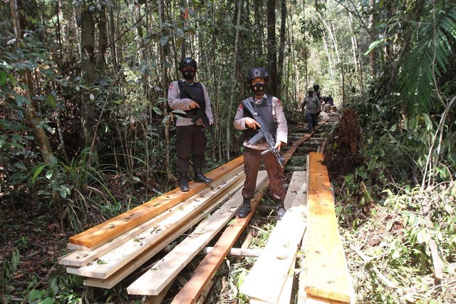 Petugas di lokasi ilegal logging di hutan Riau. Foto: Dok Polda Riau