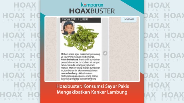 Hoaxbuster: konsumsi sayur pakis mengakibatkan kanker lambung. Foto: Dok. Istimewa