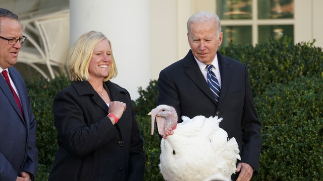 Presiden AS Joe Biden mengampuni kalkun Thanksgiving nasional, Peanut Butter, di Gedung Putih di Washington, AS, Jumat (19/11). Foto: Kevin Lamarque/REUTERS