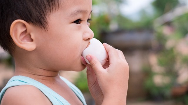 Ilustrasi anak balita makan telur. Foto: Shutter Stock