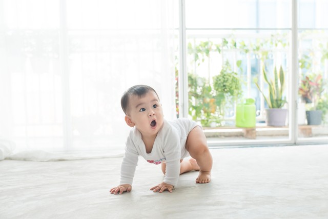 Ilustrasi bayi belajar merangkak. Foto: Shutterstock