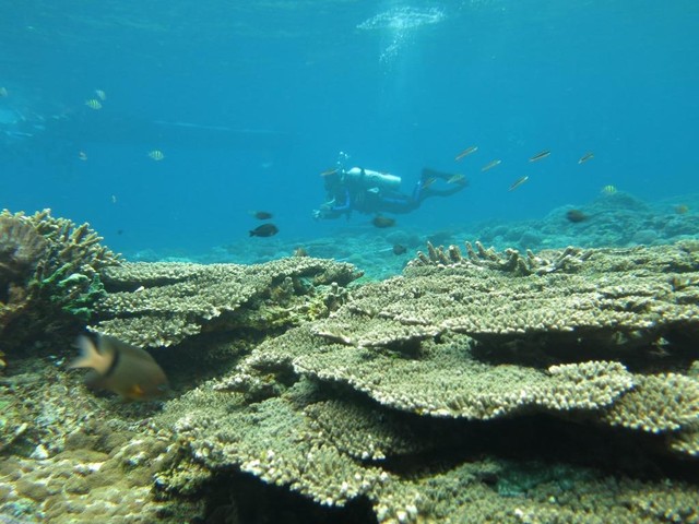 Sembilan Pantai Eksotis yang Wajib Kamu Kunjungi di TWA Teluk Kupang (84128)