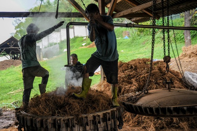 Pekerja melakukan proses penyulingan akar wangi di Samarang, Kabupaten Garut, Jawa Barat, Sabtu (20/11/2021). Foto: Raisan Al Farisi/Antara Foto