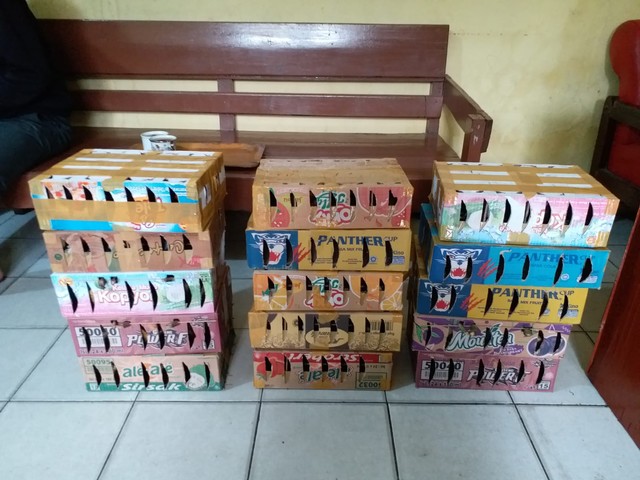 Penampakan Ribuan Ekor Burung di Lampung yang Akan Diselundupkan ke Jakarta (2)