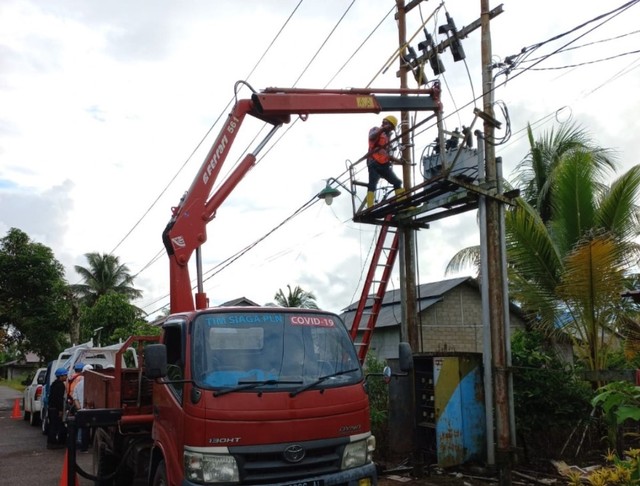 Petugas PLN melakukan pemeliharaan jaringan. Foto: Dok. PLN Kalbar