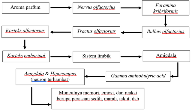 Wangi Parfum Bikin Susah Lupa Mantan? Ini Penjelasan Ilmiahnya (43997)