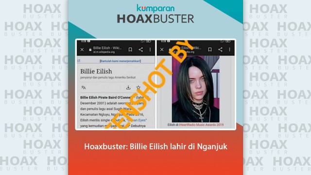 Hoaxbuster: Billie Eilish lahir di Nganjuk. Foto: Dok. Istimewa