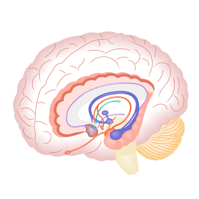 Not Safe for Work, Not Safe for Brain? (34115)