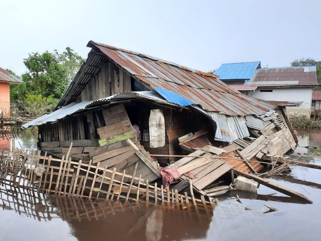 Satu unit rumah pasangan lanjut usia (lansia) yakni Bujang dan Ratna di RT 5 RW 2, Kelurahan Kapuas Kiri Hulu, Kecamatan Sintang, roboh saat banjir. (Foto: Yusrizal/Hi! Pontianak)