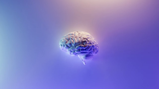 Sumber ; https://unsplash.com/photos/58Z17lnVS4U?