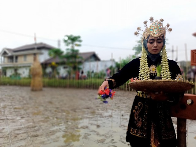 'Dewi Sri' menaburkan bunga di lahan persawahan sebelum petani mulai menanam padi. FOTO: Erick Disy/CIREMAITODAY