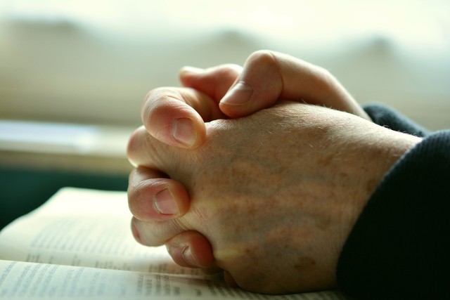 https://pixabay.com/photos/pray-hands-praying-hands-prayer-2558490/