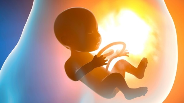 Gawat janin adalah kondisi di mana bayi kekurangan oksigen dari plasenta. Foto: Shutterstock