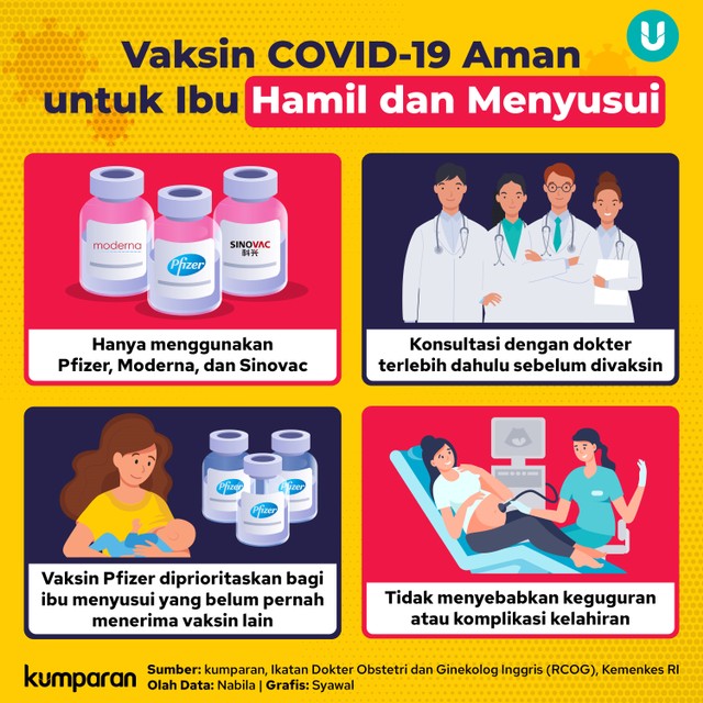 Infografik Vaksin COVID-19 Aman untuk Ibu Hamil dan Menyusui. Foto: kumparan