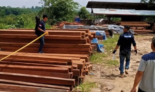 Ilustrasi polisi sita kayu balok hasil illegal logging. Foto: dok KLHK