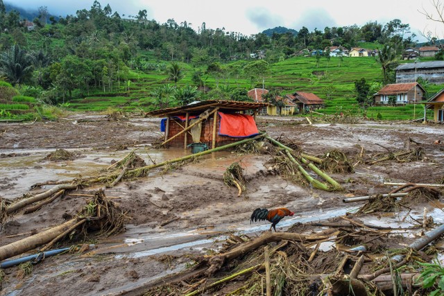 Foto: Ratusan Hektar Lahan Pertanian Di Garut Rusak Akibat Banjir ...