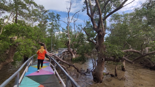 Seorang pengunjung sedang berjalan menyusurui jembatan ekowisata mangrove di Pantai Oesapa, Kota Kupang, NTT. Foto: Harley Sastha