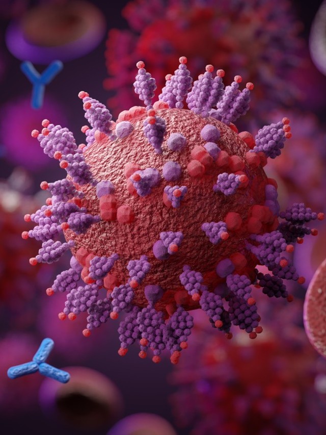Update dan Fakta Seputar Virus Corona Varian Omicron. Foto: Shutterstock