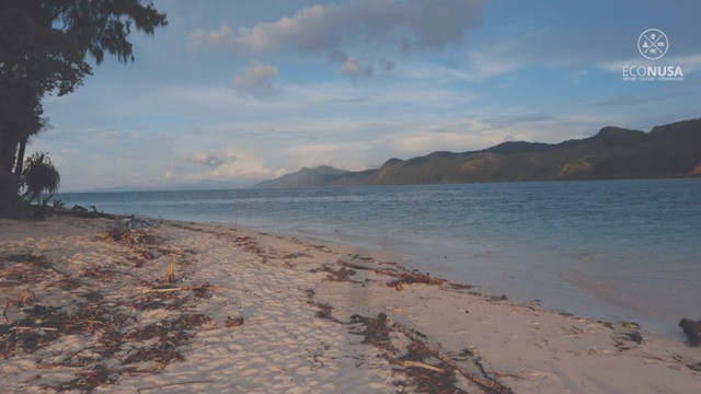 Pantai berpasir putih di Pulau Um, Distrik Makbon, Sorong. Foto: Dok. Yayasan EcoNusa