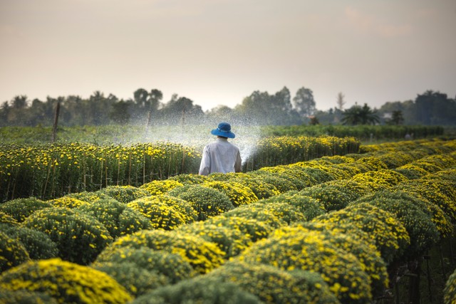 Ilustrasi petani yang menyiram tanaman untuk meningkatkan produksi. Foto: Pexels.com