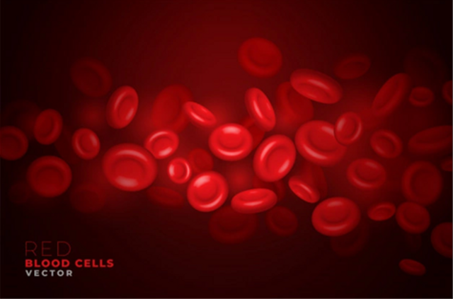 Ilustrasi bentuk sel darah merah pada manusia. Foto: starline/freepik